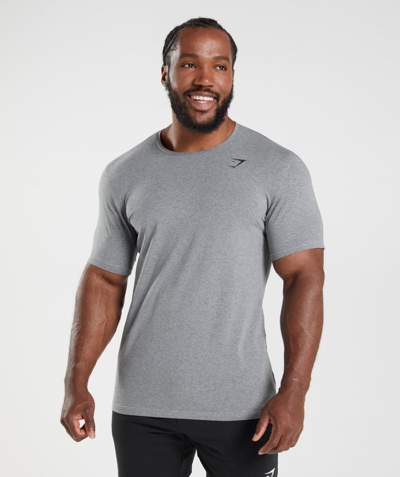 Men\'s Gymshark Essential T-Shirts Grey | NZ 3ZAMRW